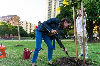 PLAZA VIRGINIA BOLTEN